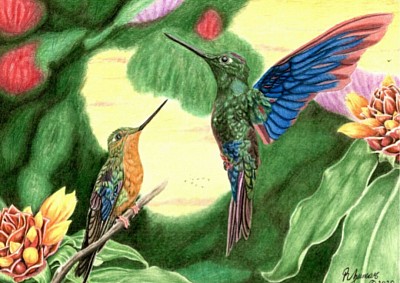 002 "Love Birds" 8x11 prisma color/oil on bristol board.